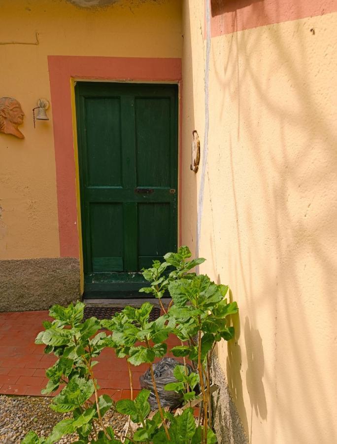 Norina'S House Villa Monterosso al Mare Exteriör bild